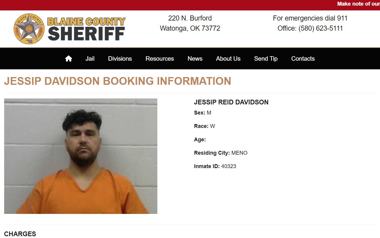 Blaine County inmate records sample profile with booking mugshot